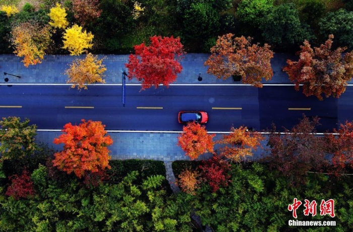 Hangzhou, bella igual al inicio de invierno1