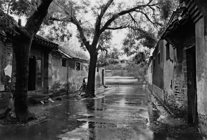 Los callejones antiguos de Beijing al descubierto 1
